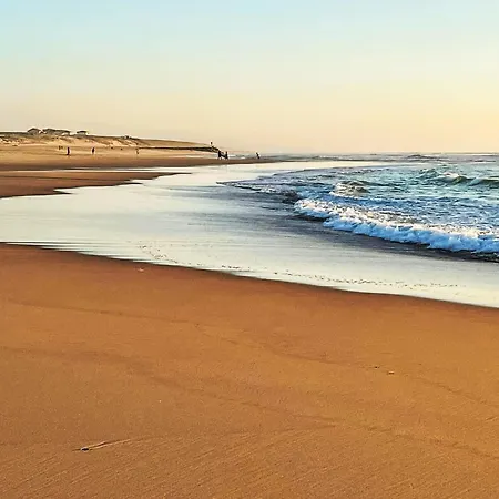 La Dune Des Ailes By Interhome
